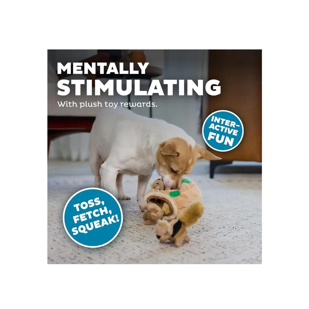 Outward Hound Hide A Squirrel Plush Dog Toy Puzzle Game for Playful Pups